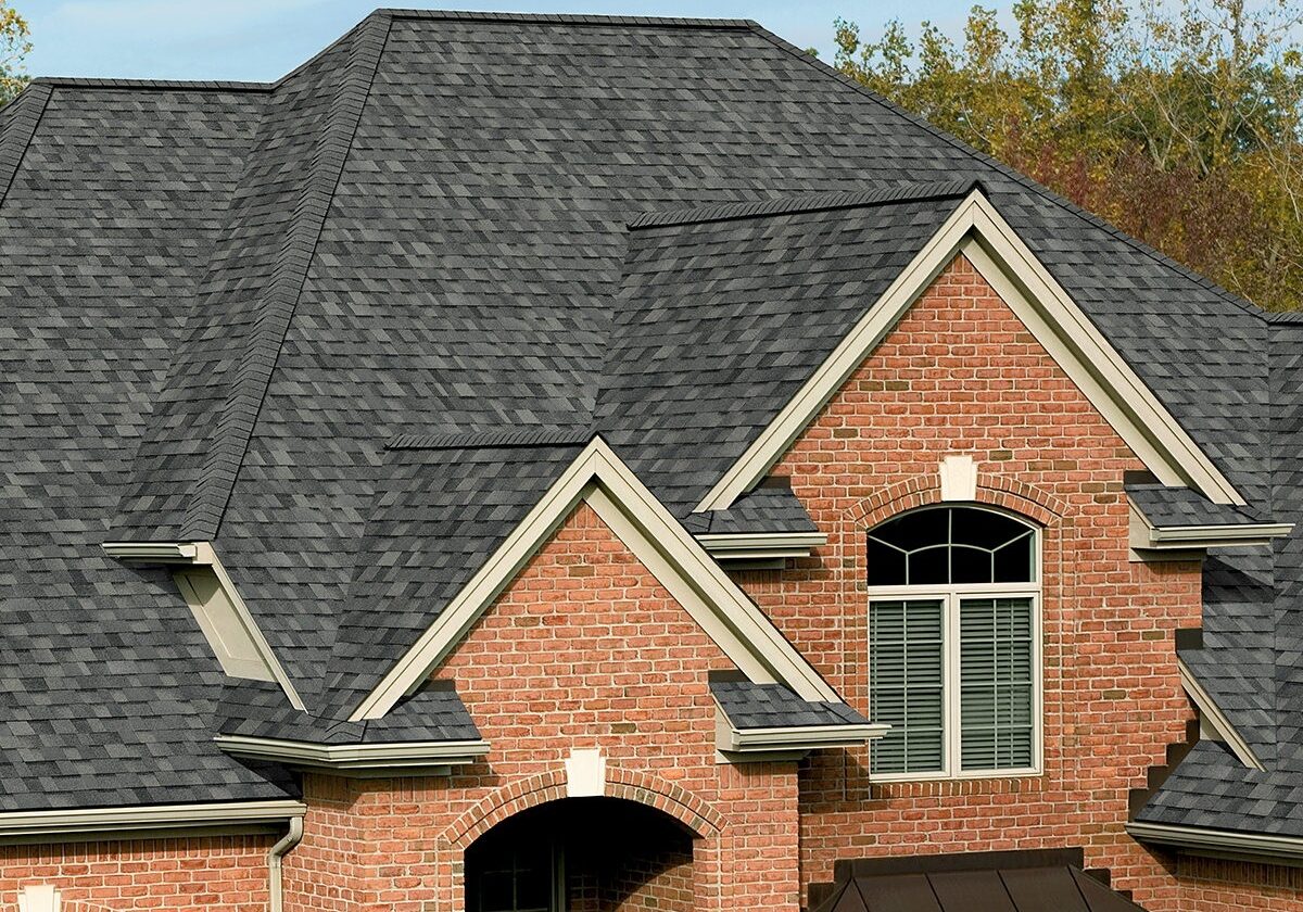 Shingle Roof